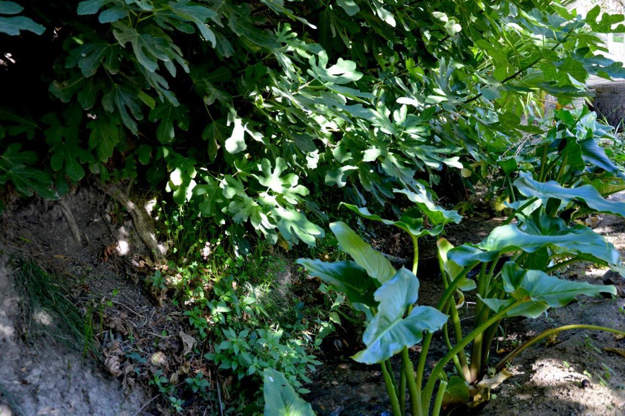 Ecoalbergue Rural De 阿尔戈多纳莱斯 外观 照片