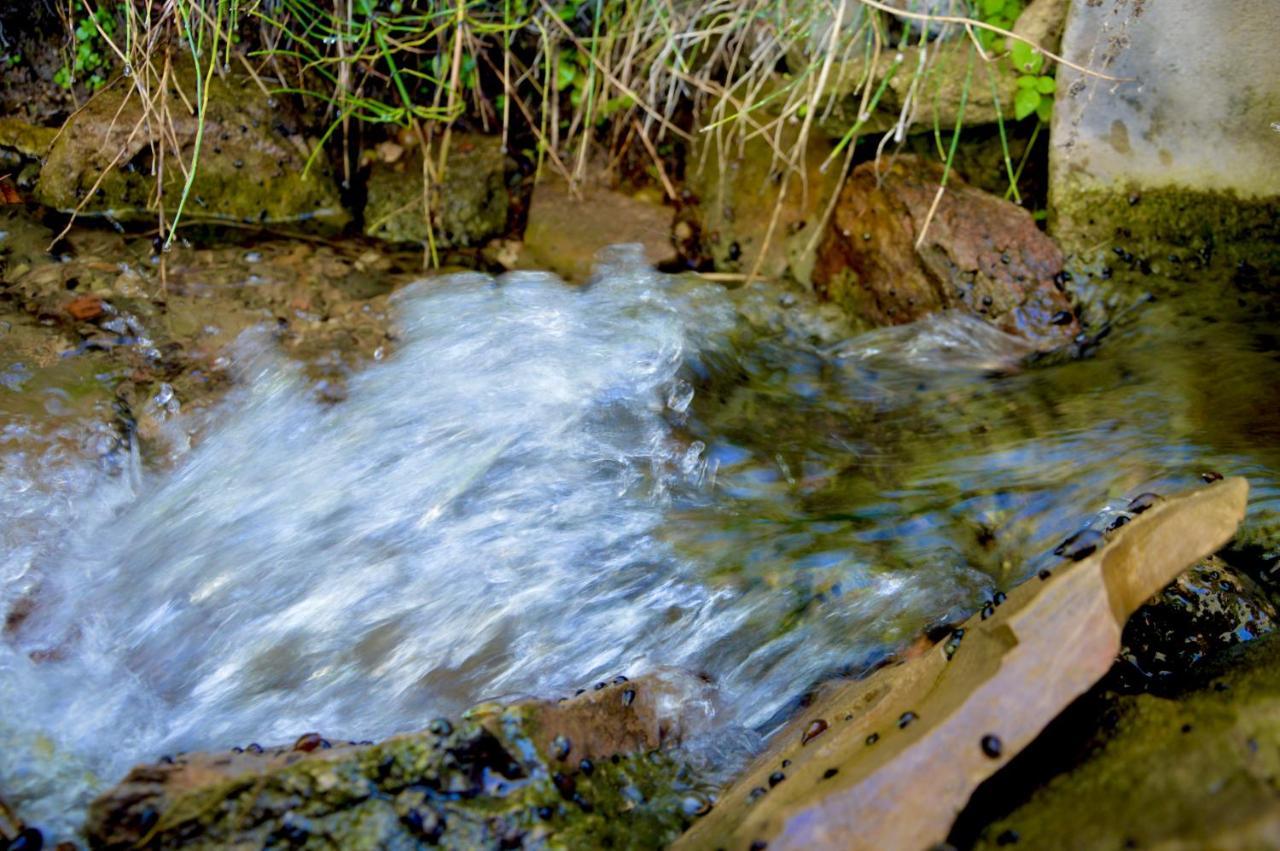 Ecoalbergue Rural De 阿尔戈多纳莱斯 外观 照片