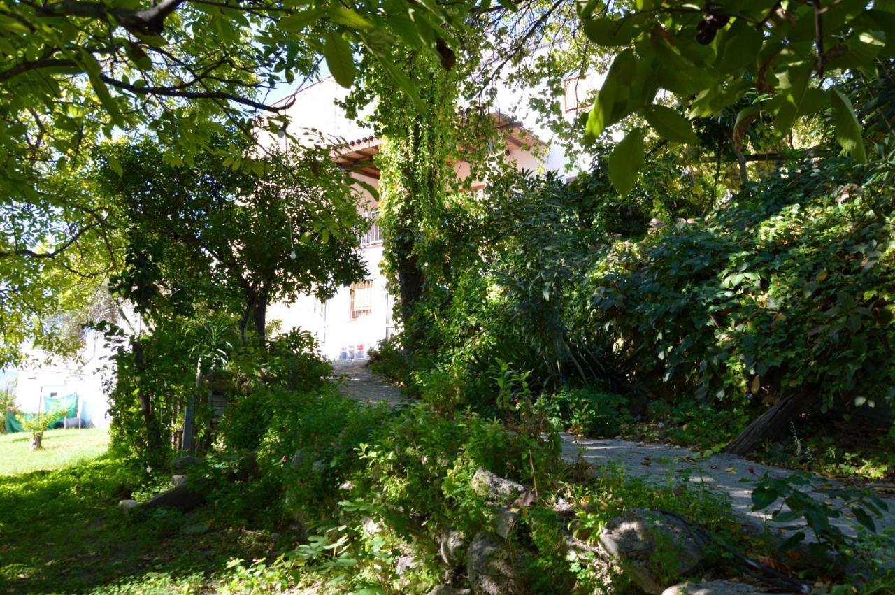 Ecoalbergue Rural De 阿尔戈多纳莱斯 外观 照片